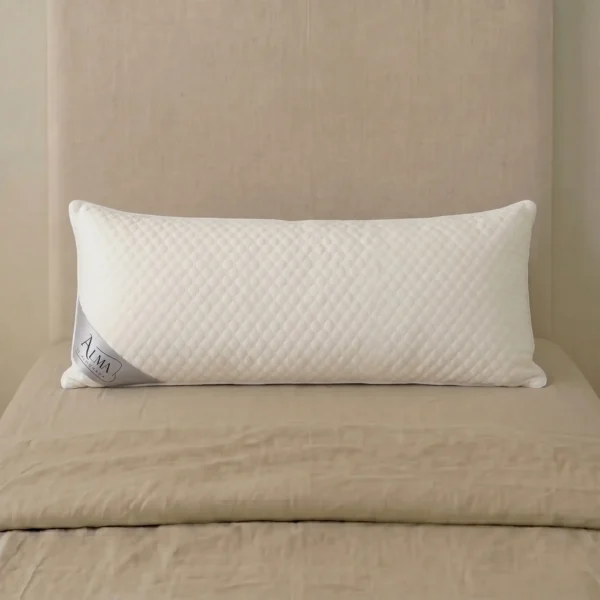 Almohada viscoelástica aloe vera
