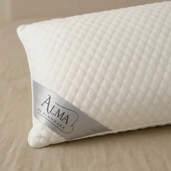 Almohada viscoelástica aloe vera